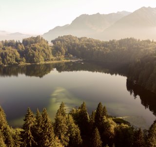 Herbst am Freibergsee