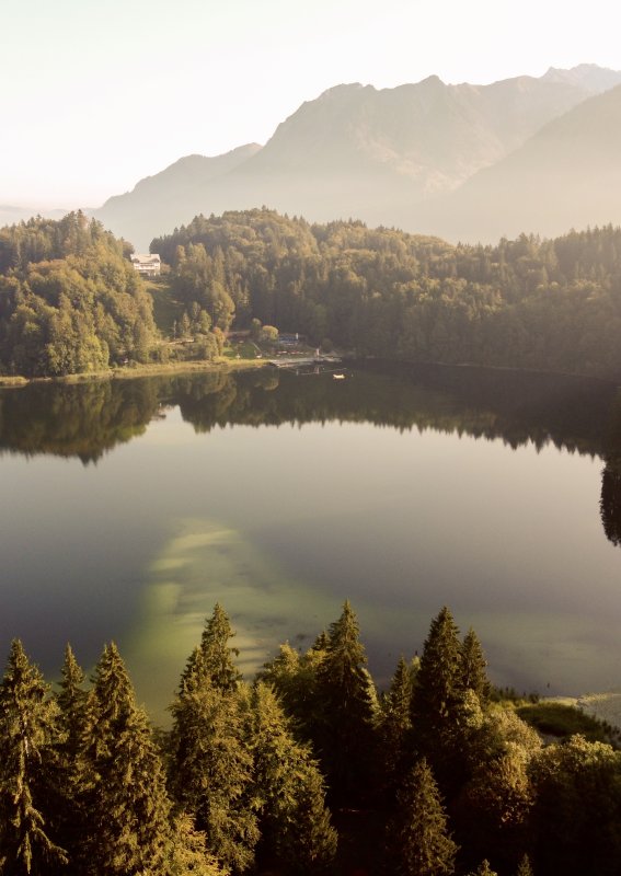 Herbst am Freibergsee