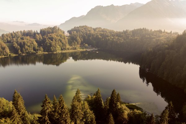 Herbst am Freibergsee
