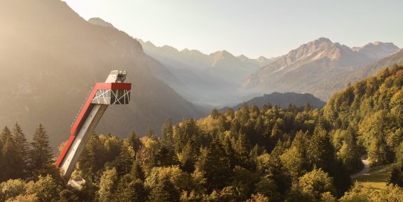 Herbst am Freibergsee