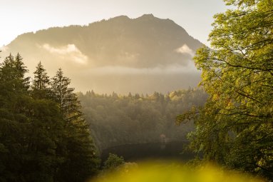 Herbst am Freibergsee