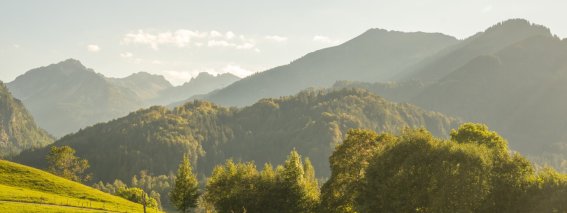 Moorweiher September