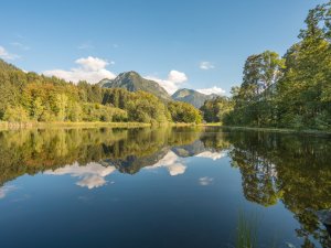 Moorweiher September