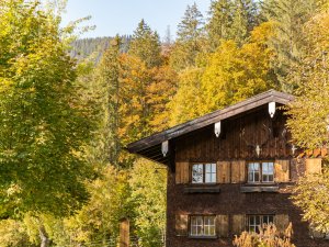 Tiefenbacher Herbst