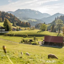 Tiefenbacher Herbst