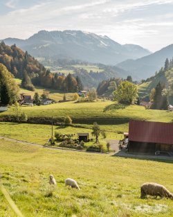 Tiefenbacher Herbst