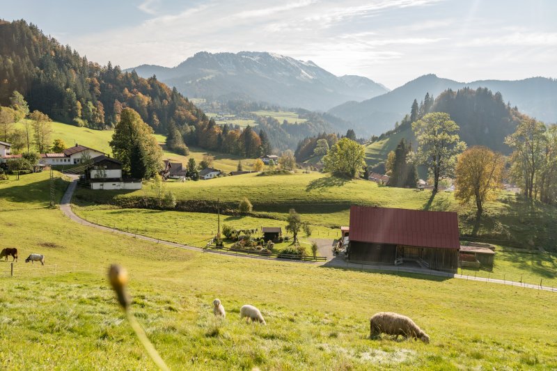 Explorer Hotel Zillertal