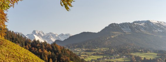 Tiefenbacher Herbst