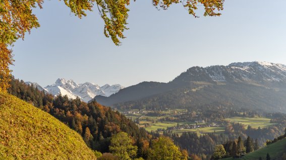 Tiefenbacher Herbst