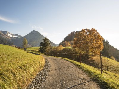 Goldener Oktober