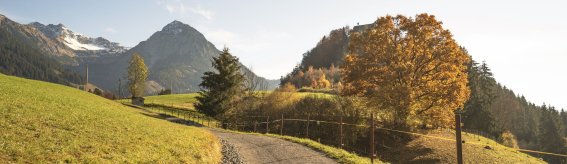 Goldener Oktober