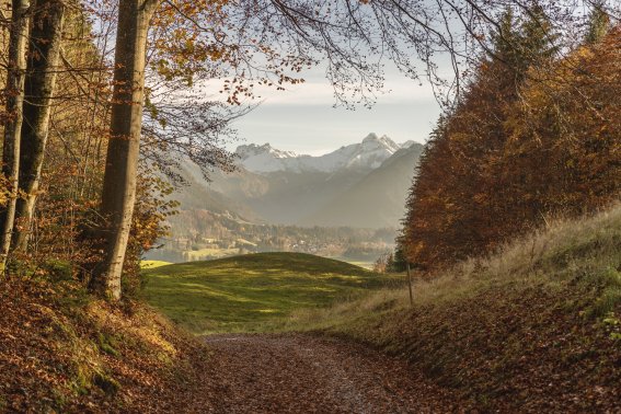 Goldener Oktober