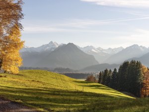 Goldener Oktober 