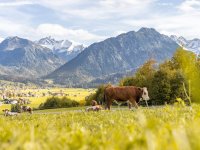 Herbststimmung in Oberstdorf