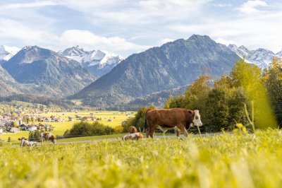 Herbststimmung in Oberstdorf