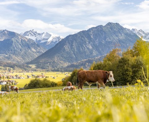 Herbststimmung in Oberstdorf