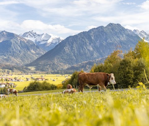 Herbststimmung in Oberstdorf