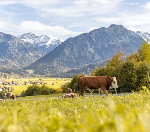 Herbststimmung in Oberstdorf