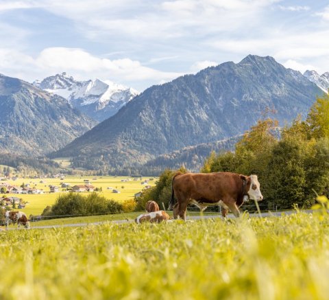 Herbststimmung in Oberstdorf