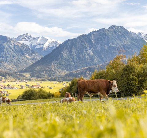Herbststimmung in Oberstdorf