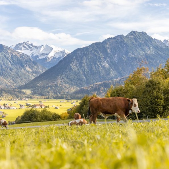 Herbststimmung in Oberstdorf