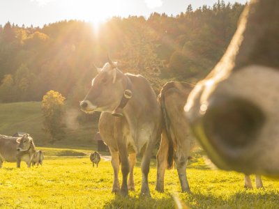 Herbststimmung in Oberstdorf 