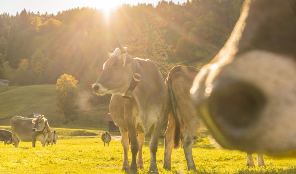 Herbststimmung in Oberstdorf 