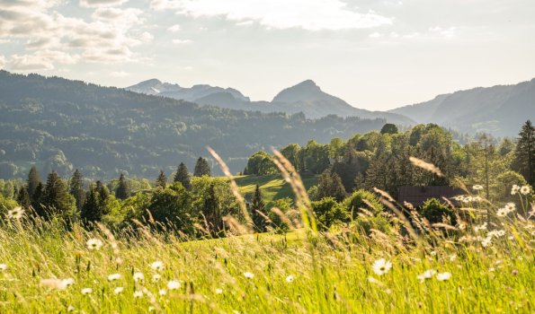 Kühberg Abendstimmung 