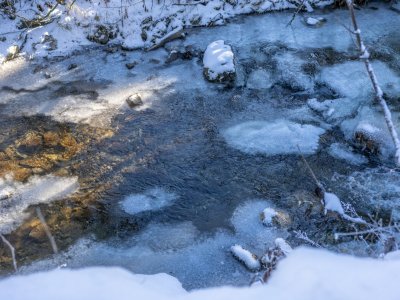 Winterliches Rohrmoos 