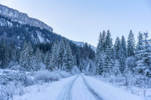 Winterliches Rohrmoos 