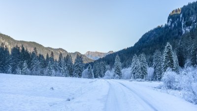 Winterliches Rohrmoos 
