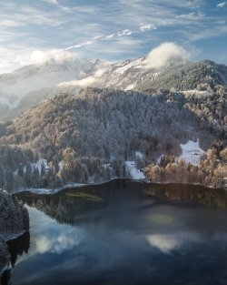 Winter am Freibergsee