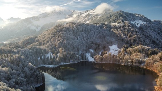 Winter am Freibergsee