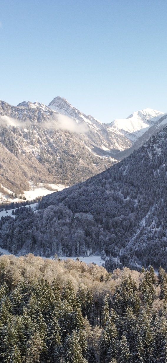 Winter am Freibergsee