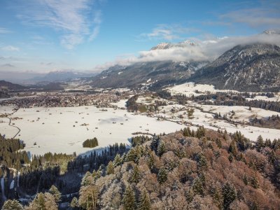 Winter am Freibergsee
