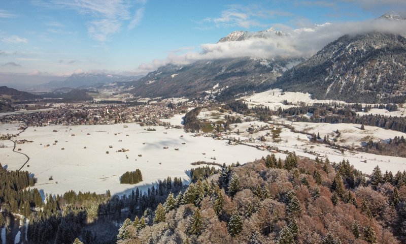 Winter am Freibergsee