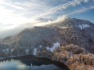 Winter am Freibergsee