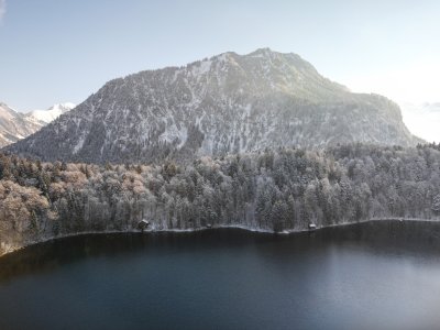 Winter am Freibergsee