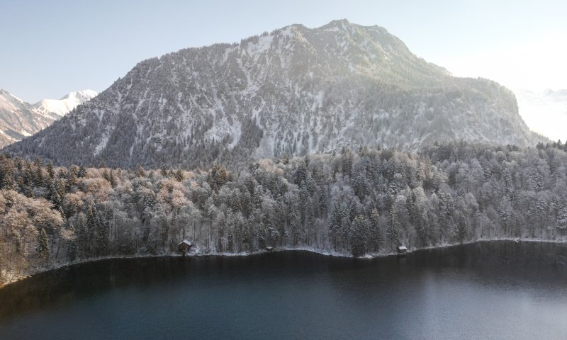 Winter am Freibergsee