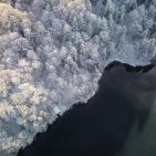 Winter am Freibergsee