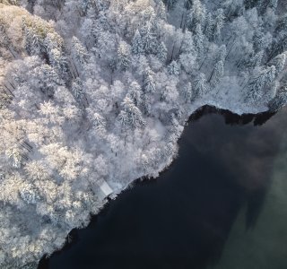 Winter am Freibergsee