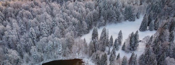 Winter am Freibergsee