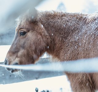 Dezember Schnee