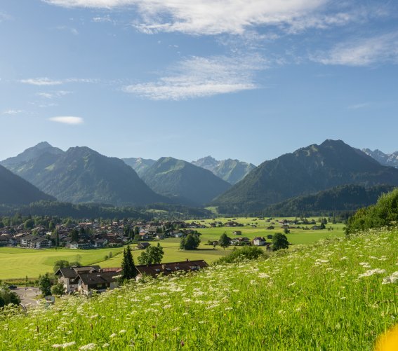 09.07.20 Jauchen-Karatsbichl-Oberstdorf-3000-005