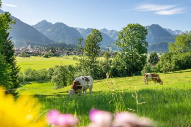 09.07.20 Jauchen-Karatsbichl-Oberstdorf-3000-017