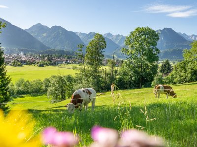 09.07.20 Jauchen-Karatsbichl-Oberstdorf-3000-017