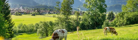 09.07.20 Jauchen-Karatsbichl-Oberstdorf-3000-017
