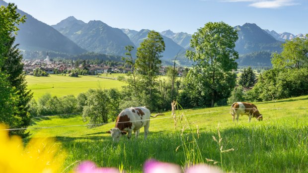 09.07.20 Jauchen-Karatsbichl-Oberstdorf-3000-017