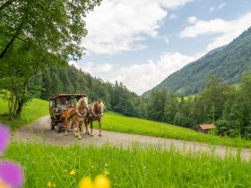  Sommermorgen am Christlessee