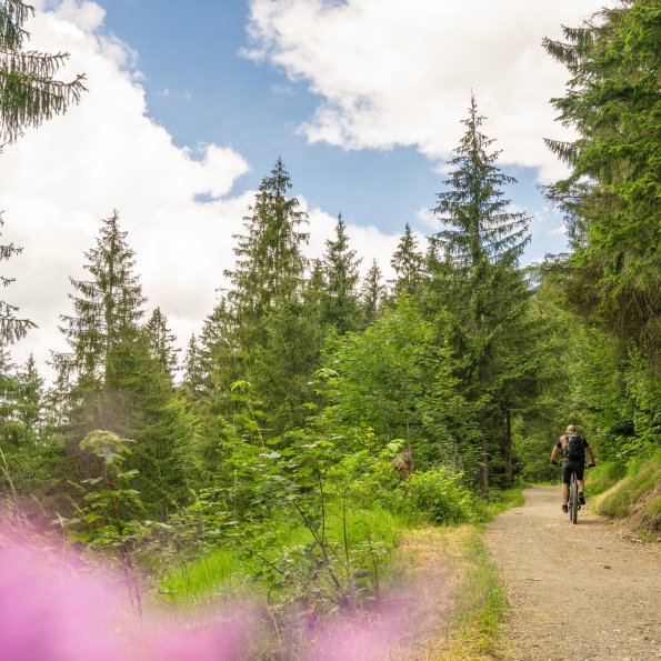 Wallrafweg zur Richteralpe
